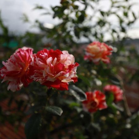 Homestay Doc Tinh Да Лат Екстериор снимка